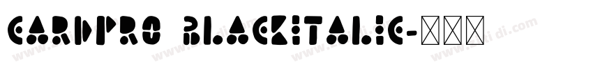 CardPro BlackItalic字体转换